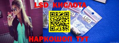 прущие грибы Славгород