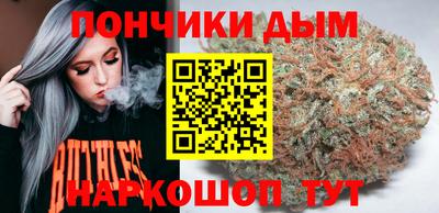 гидропоника Сланцы