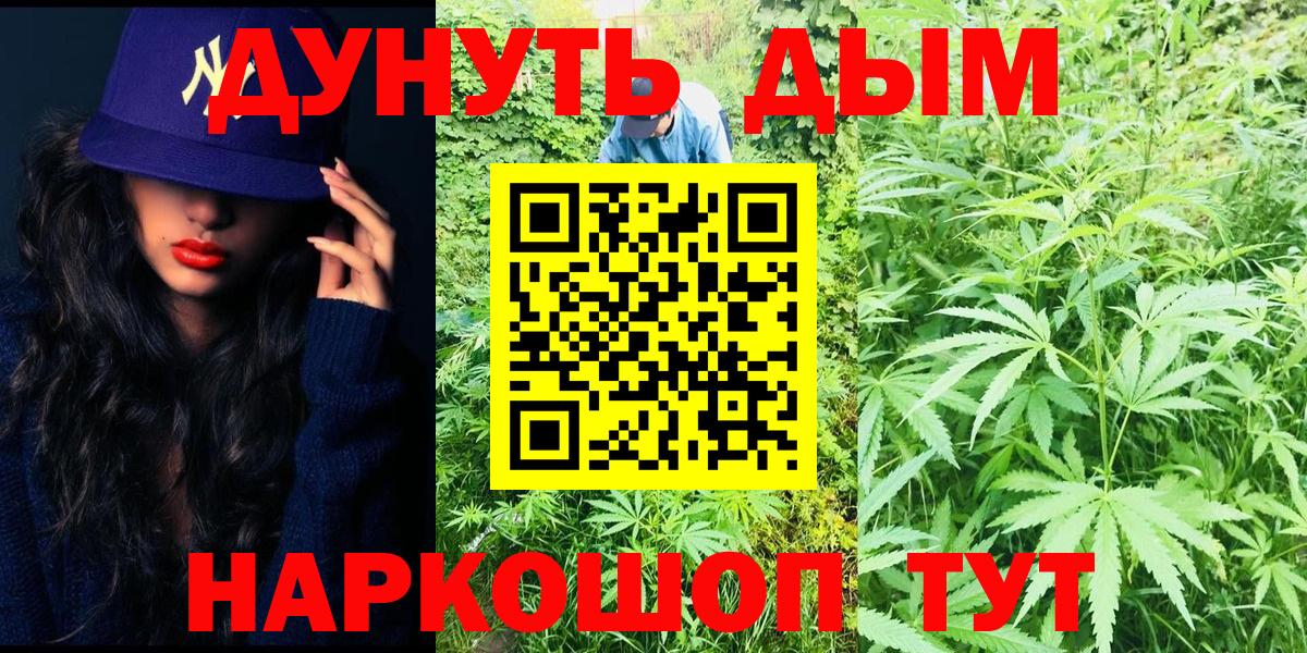Бошки Шишки конопля Родники